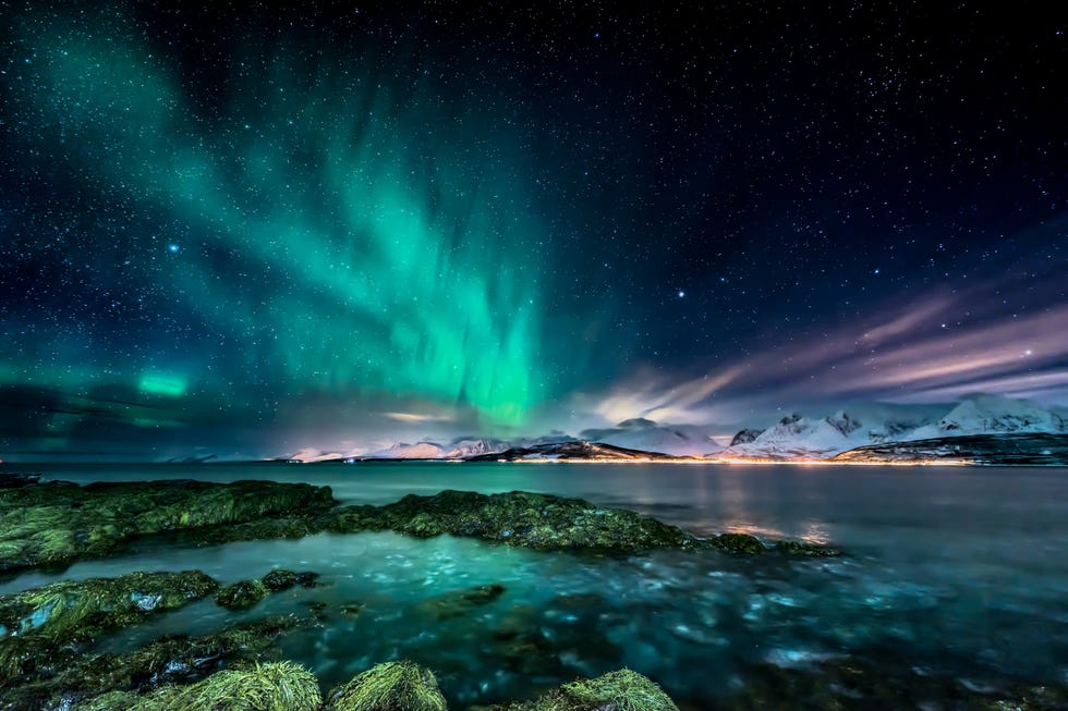 Amazing aurora borealis - northern lights - view from coast in Oldervik, near Tromso city - north Norway amazing aurora borealis northern lights view from coast in oldervik, near tromso city north norway