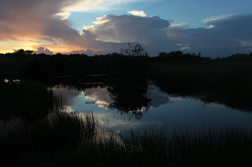 Florida Scales Back Everglades Sugar Land Deal