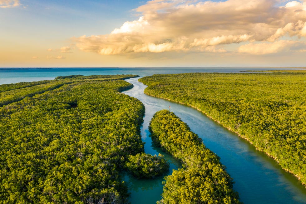 everglades national park at sunset, florida, usa