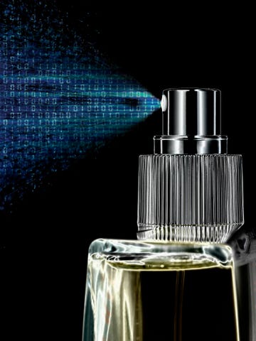 everyhuman algorithmic perfumery review