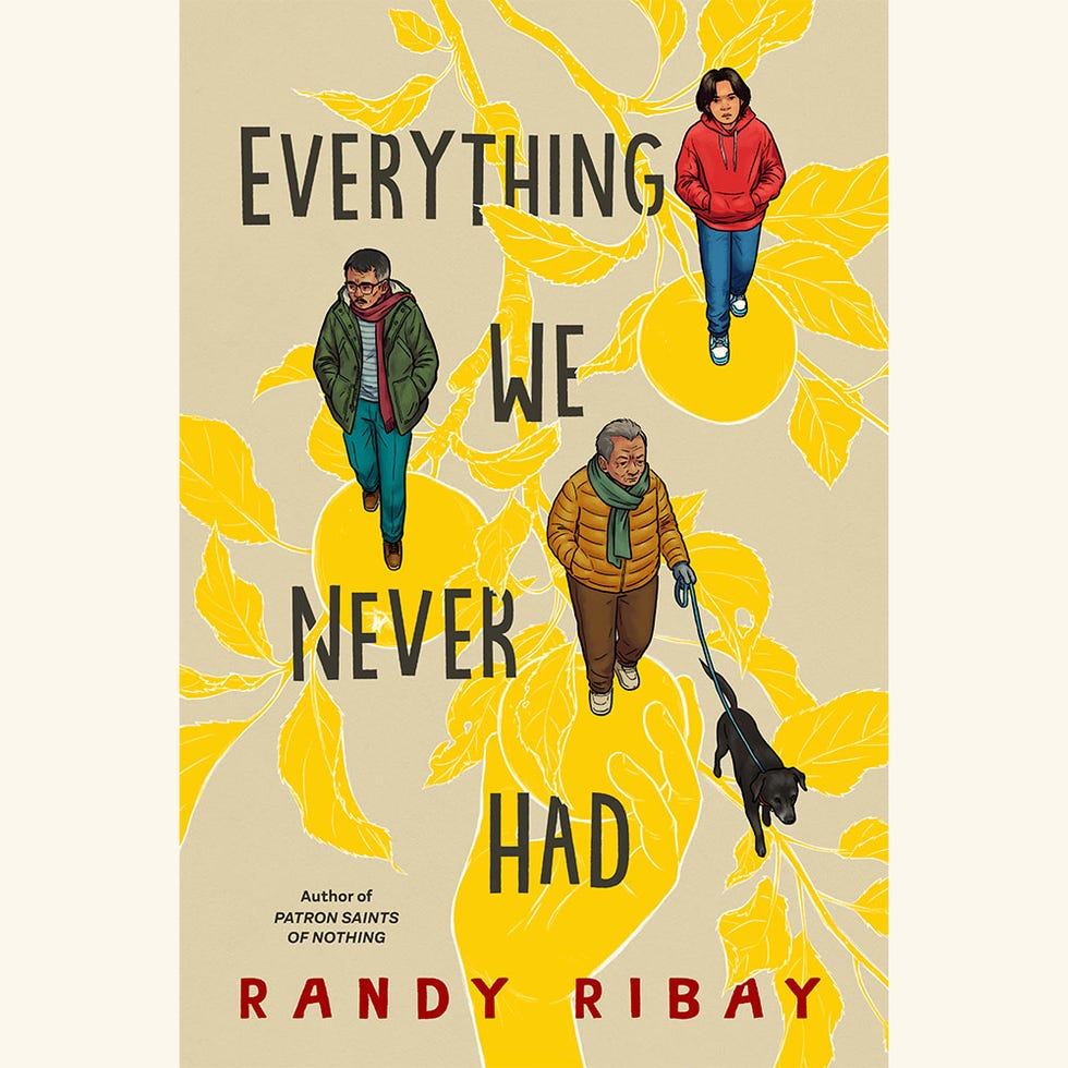 everything we never had, randy ribay