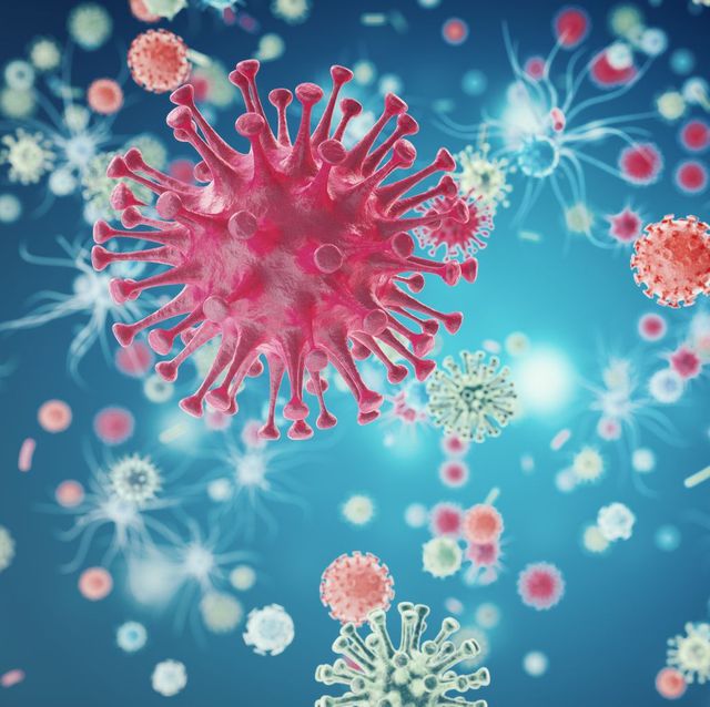 ヒト免疫不全ウイルス（hiv）について知っておくべきすべてのこと