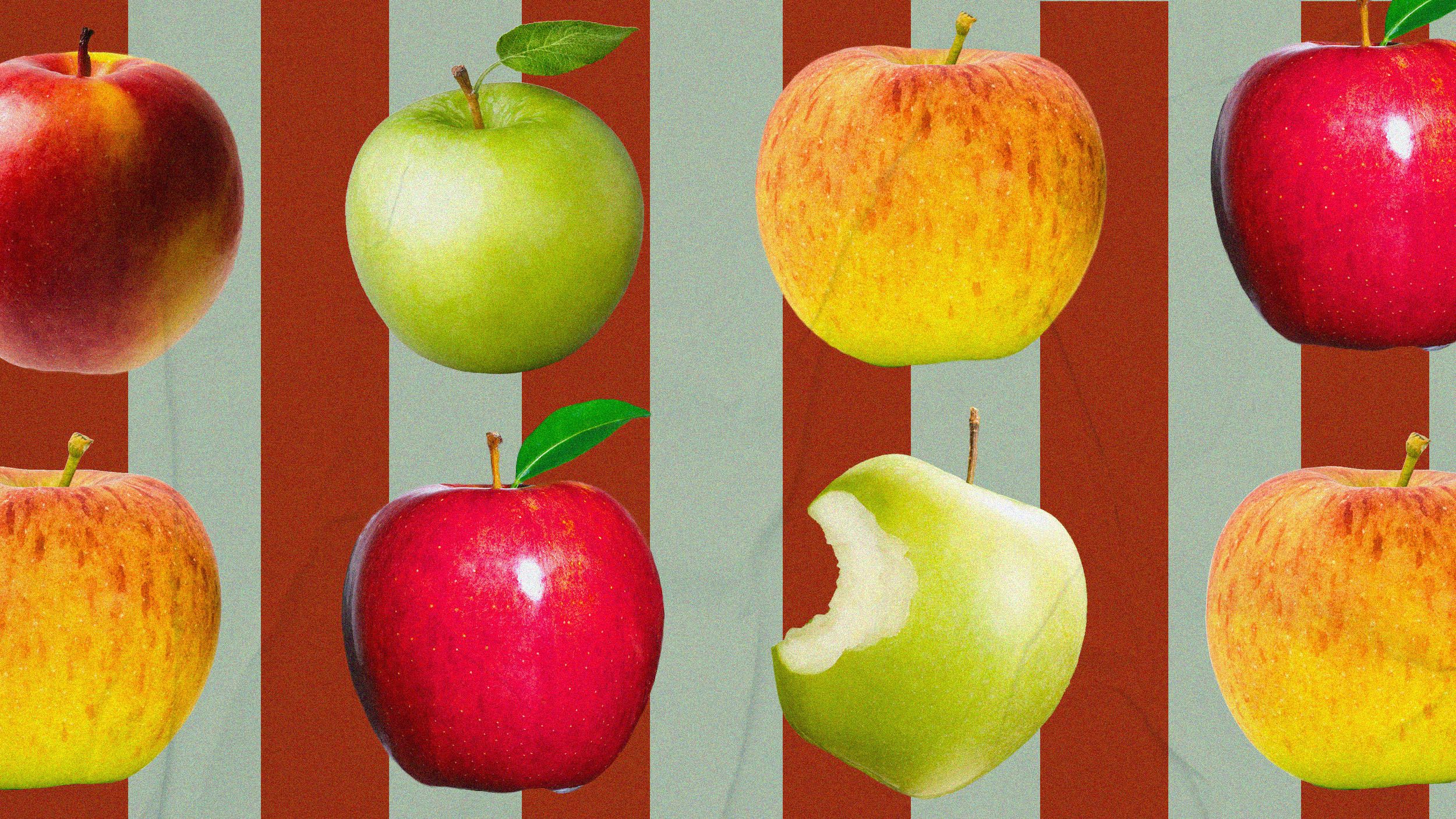 Raw Red Organic Cosmic Crisp Apples Stock Photo - Image of apples