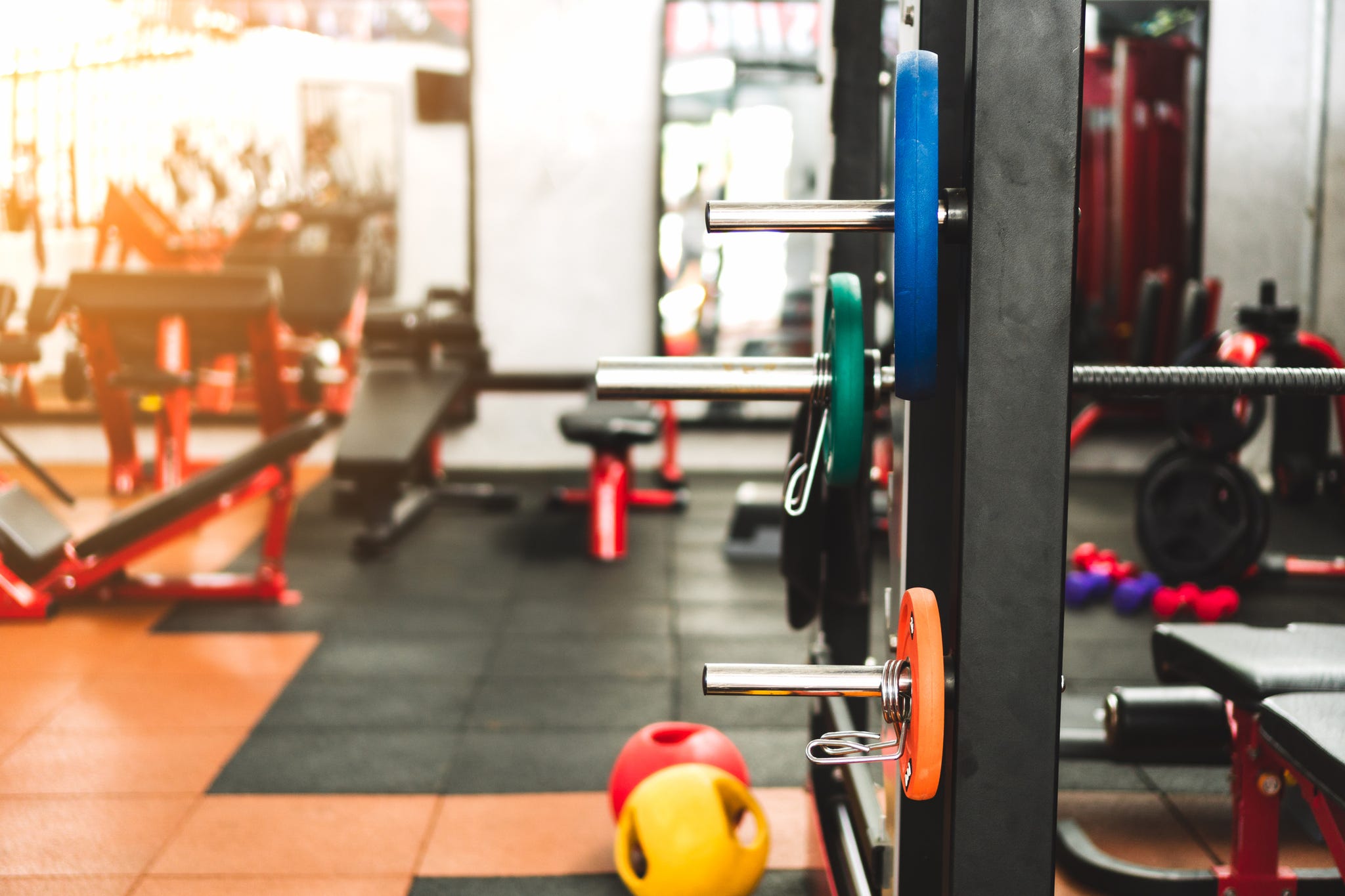 Barras Pesas, Barra Musculación y Mancuernas