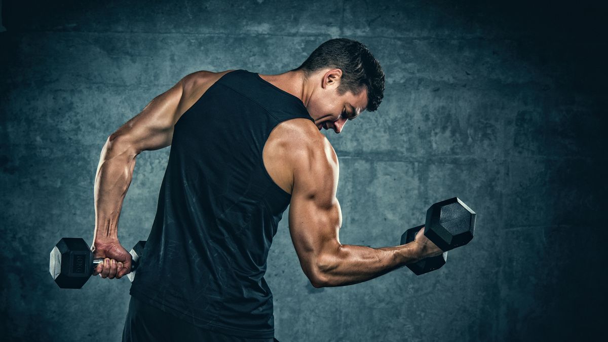 Sculpt Your Physique Full-Body Dumbbell Workout Routine