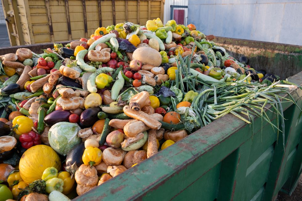 expired organic bio waste mix vegetables and fruits in a huge container, in a rubbish bin heap of compost from vegetables or food for animals