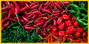 types of peppers