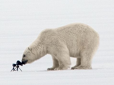 In het licht van de middernachtszon vond een ijsbeer iets naast een gat in het poolijs Rikardsens camera en bewegingssensor Het dier besnuffelde de camera en tikte hem het water in Een jaar later ondernam Rikardsen een expeditie om zijn camera terug te vinden