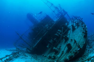 exploring a shipwreck in the red sea