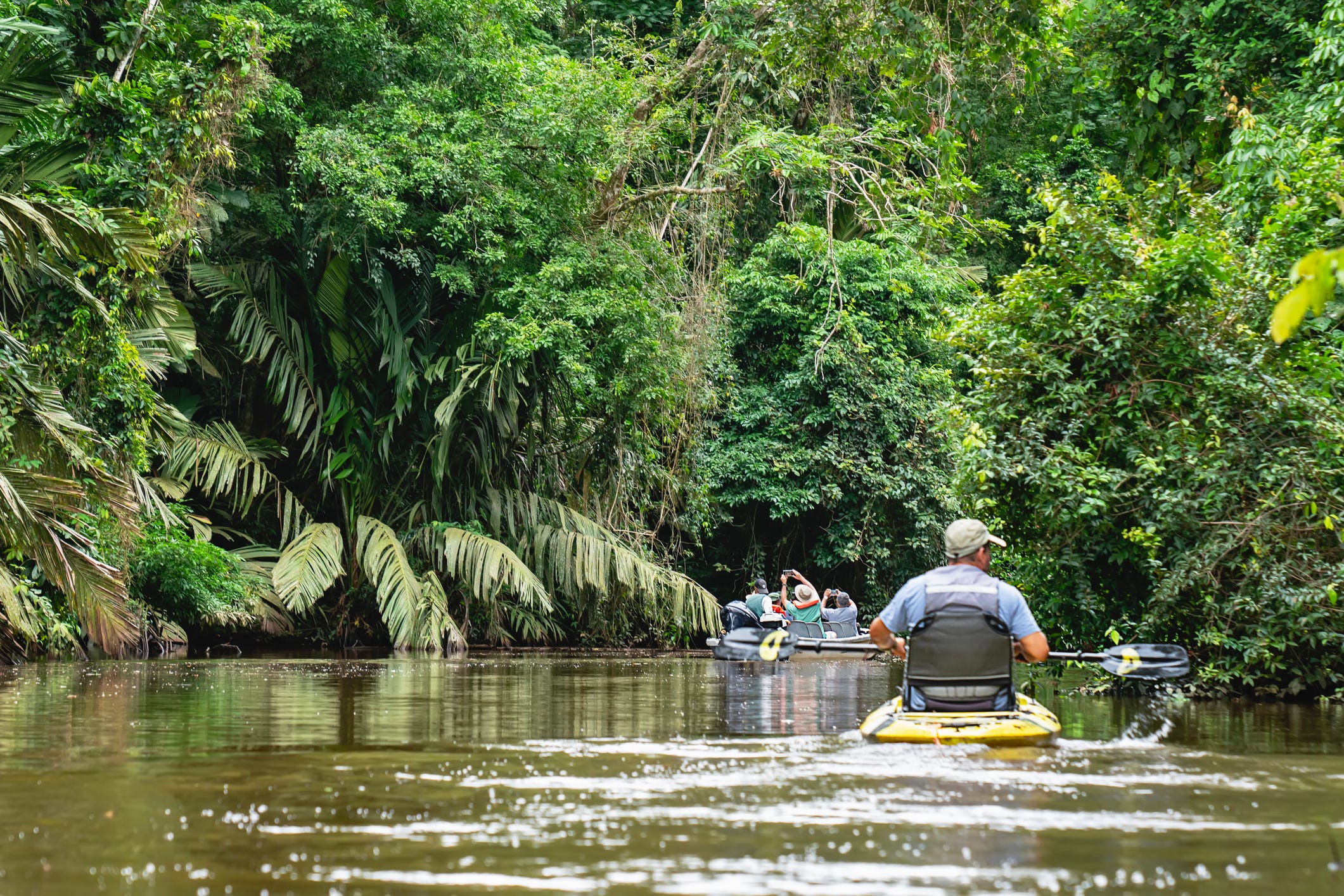 exploring tropical rainforest tourists canoeing in tortuguero canals costa rica