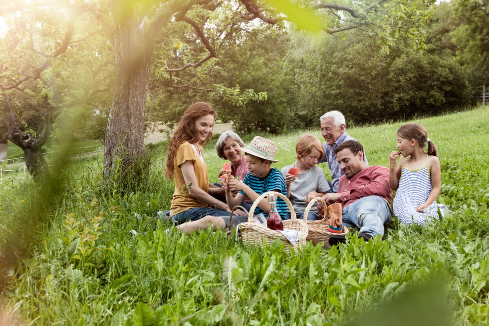 abuelos, padres y niños comen en medio del campo están tumbados y disfrutan de sandía