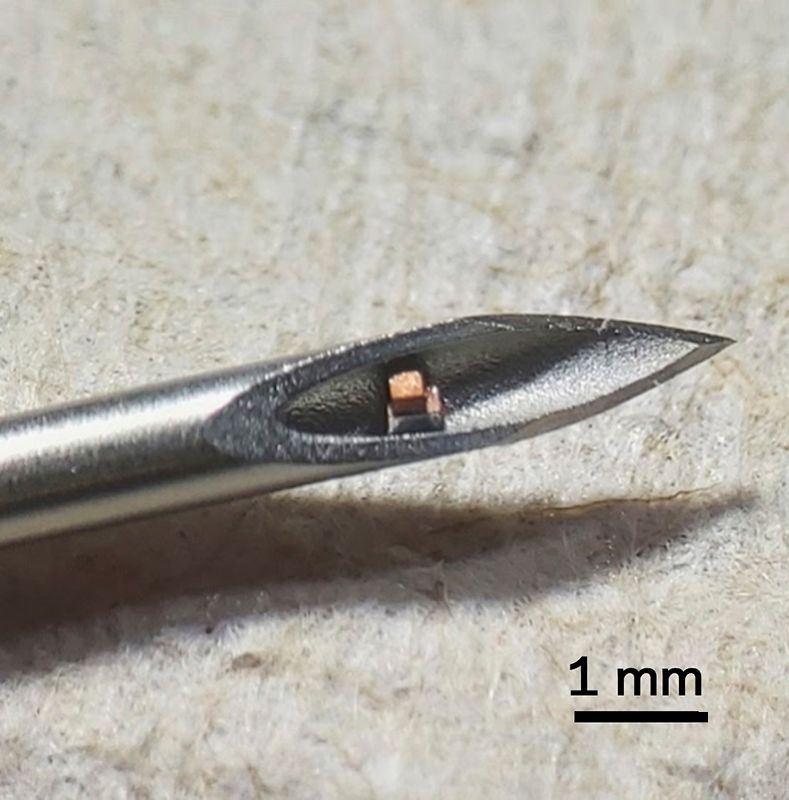 dust mite sized mote on a hypodermic needle