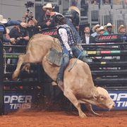 ezekiel mitchell rides cord mccoypioneer bulls’s vanilla ice for 89 during the second round of the world finals unleash the beast pbr photo by andy watson  bull stock media