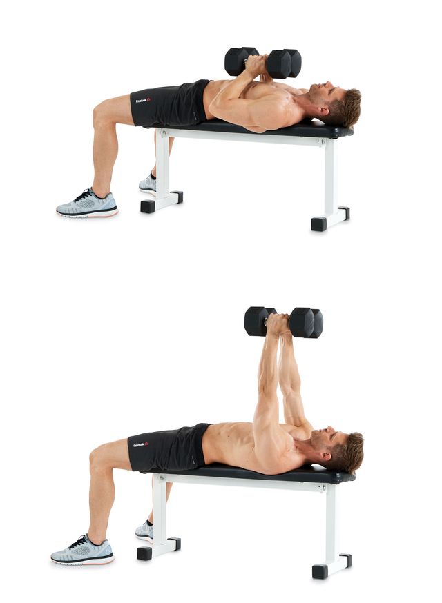 Weights, Exercise equipment, Dumbbell, Arm, Abdomen, Fitness professional, Free weight bar, Shoulder, Physical fitness, Leg, 