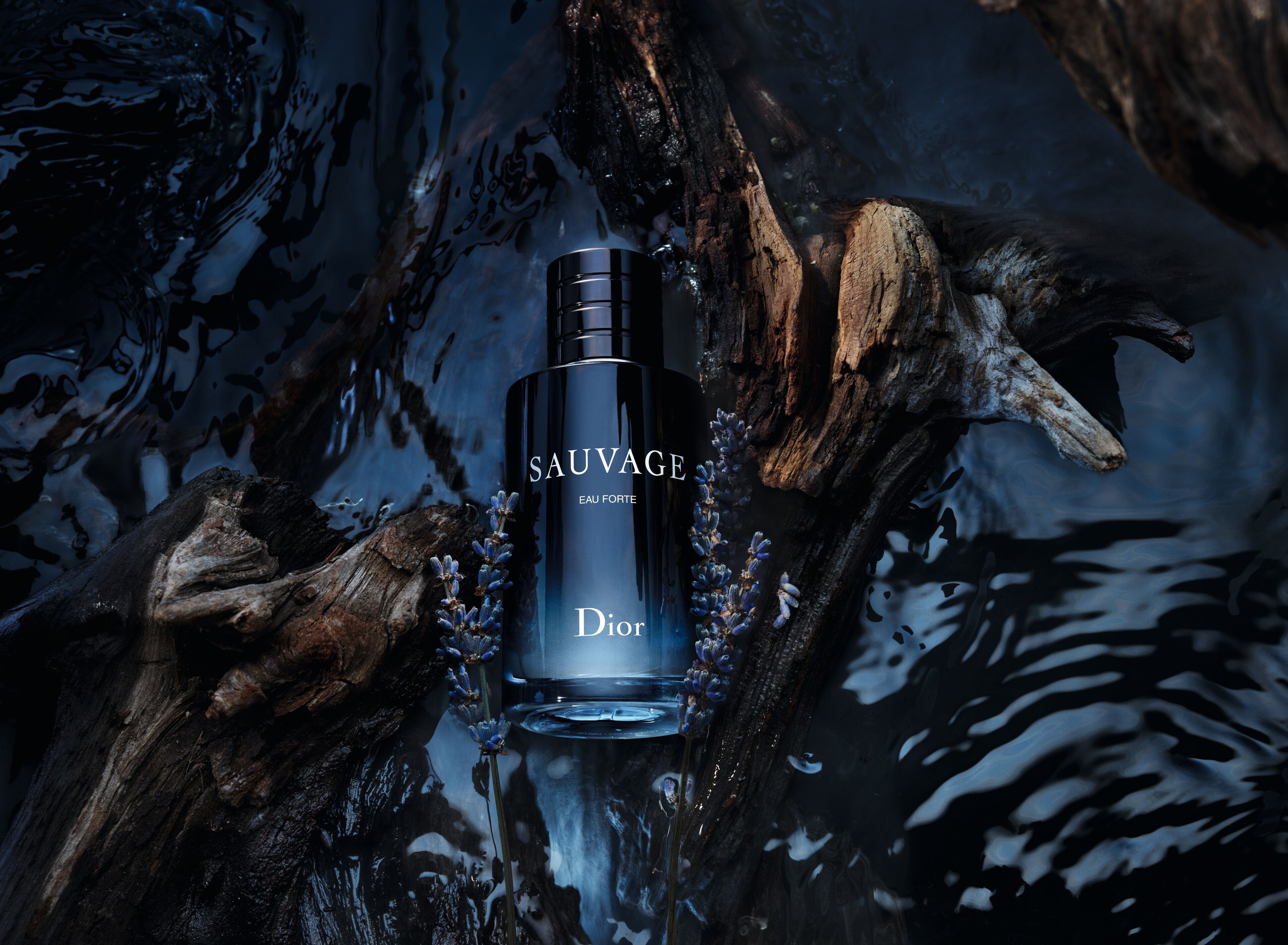 Dior Sauvage history and product range New alcohol free fragrance