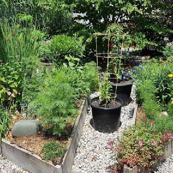 20+ Best DIY Raised Bed Garden Ideas - A Piece Of Rainbow