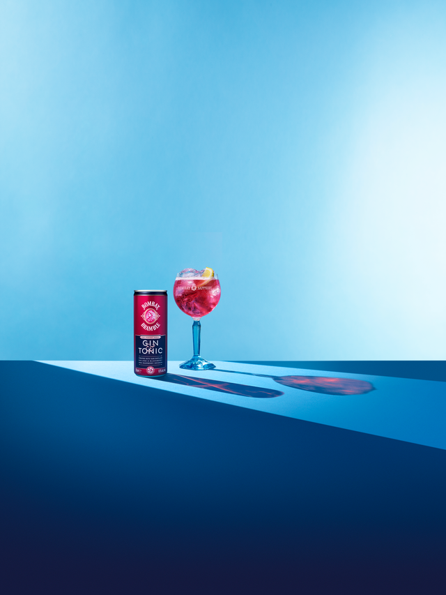 bombay sapphire bramble gin and tonic cans