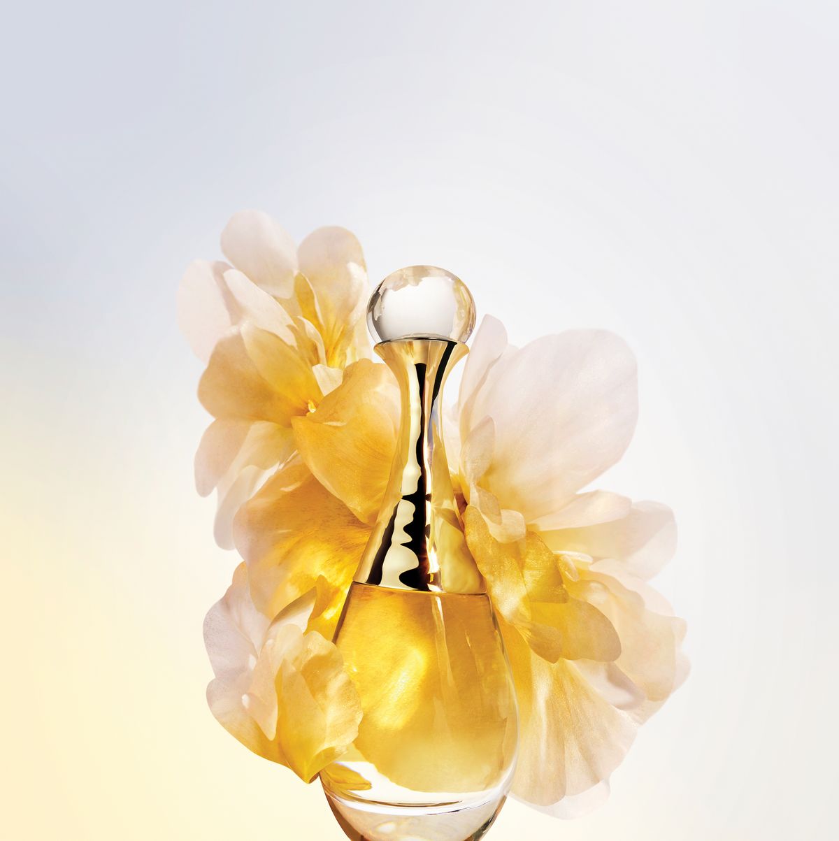 Carmen kass christian dior jadore perfume by Dior