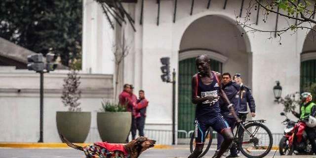 Atacado por un perro durante la carrera, un atleta keniano pierde el maratón