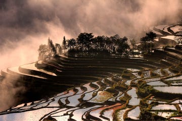 De zonsopkomst in Yuanyang China reflecteert in het water van de rijstterrassen Omdat voor het verbouwen van rijst irrigatie nodig is wordt de rijst verbouwd in terrasformaties om daarmee erosie en modderafspoeling tegen te gaan