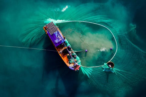 Vroeg in de ochtend werken enkele vissers samen om een groot net langs de zuidkust van Vietnam binnen te halen vertelt Your Shotfotograaf Olivier Apicella In de daaropvolgende uren zal de hele visvangst verkocht worden op de lokale markt
