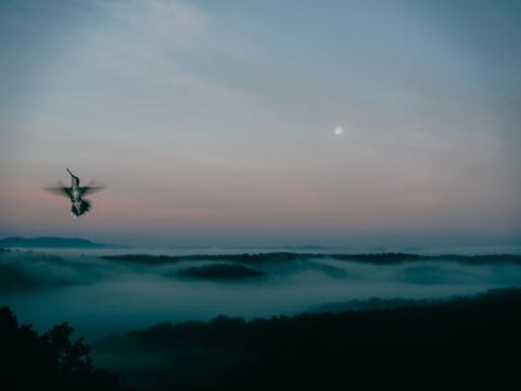 De ochtend nadat het regende in de Ozarks van Arkansas vulde de vallei achter ons huis zich met mist schrijft Your Shotfotograaf Terra Fondriest De maan scheen nog maar de vogels tjilpten al en de kolibries begonnen te drinken uit ons drinkbakje Ik stond ongeveer 10 seconden op de veranda toen deze kolibrie in zicht kwam op weg naar het suikerwater in het vogelhuisje