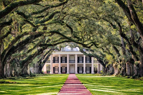Achtentwintig levende eikenbomen omringen het pad naar de Oak Alley Plantation in Vacherie in Louisiana Oak Alley is gebouwd als een suikerrietplantage in het begin van de 19e eeuw en nu opengesteld voor het publiek als een nationaal historisch monument