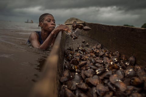 Het Mangrove National Park bij de monding van de rivier de Kongo is een waar doolhof van eilanden en kanalen zegt Your Shotfotograaf Kris Pannecoucke Vrouwen als Sphora duiken tot wel 4 meter diep in het donkere water naar kokkels Ze verkopen spiesen met kokkelvleees in de steden Muanda en Boma