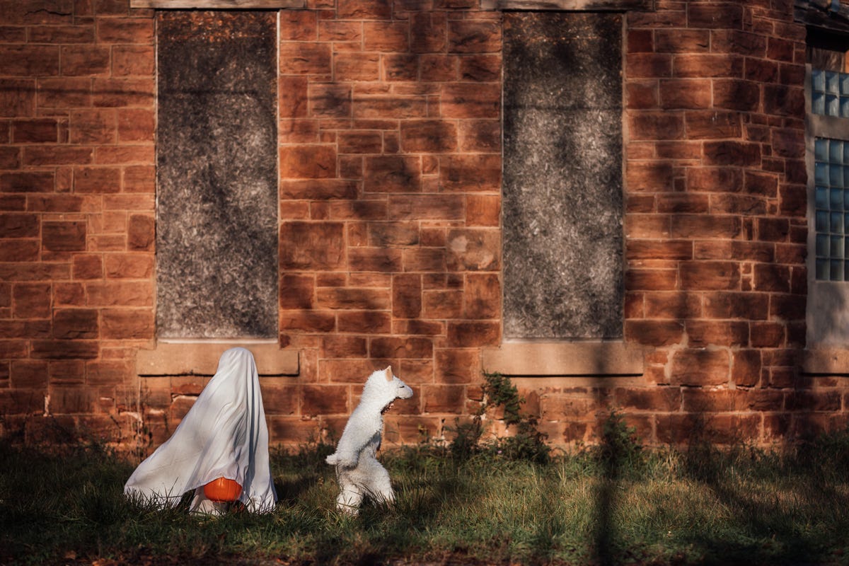 Mijn zoontjes droegen hun Halloween outfits de hele maand oktober zegt Your Shotfotograaf Megan Loeks We waren in de stad en ik vond het prachtig hoe de schaduwen vielen op dit oude gebouw