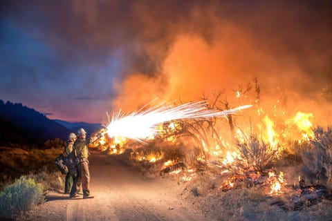 In Meeker Colorado gebruiken twee brandweerlieden speciaal gereedschap om een backfire te beginnen Het beginnen van een gecontroleerde brand is een manier om bosbranden te bestrijden de gecontroleerde brand verschroeit het gras en andere brandstof waar het wilde vuur van afhankelijk is