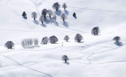 Langlaufers doorkruisen de sneeuw in de Italiaanse Alpen Het skiseizoen in de Alpen kan lopen van het vroege najaar tot het late voorjaar