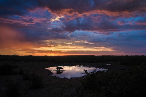Het was een stille dag bij deze waterbron in Etosha National Park in Namibi met weinig wilde dieren en een nogal saaie bewolkte hemel zegt Your Shotfotograaf J Georget Maar na ruim zeven uur wachten verscheen de zon tussen de wolken en besloot deze neushoorn om uit de struiken te komen om te drinken Het creerde een heel magisch moment