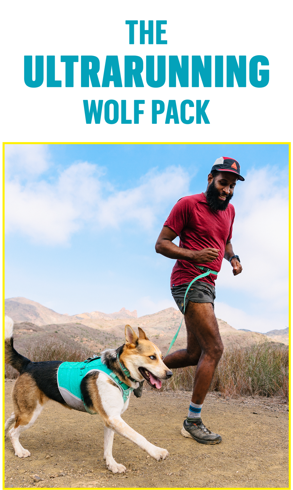 the ultrarunning wolfpack