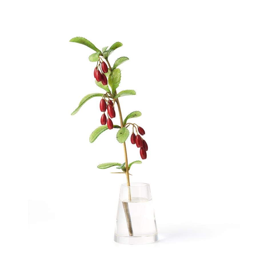 a decorative plant stem with red fruits in a clear vase