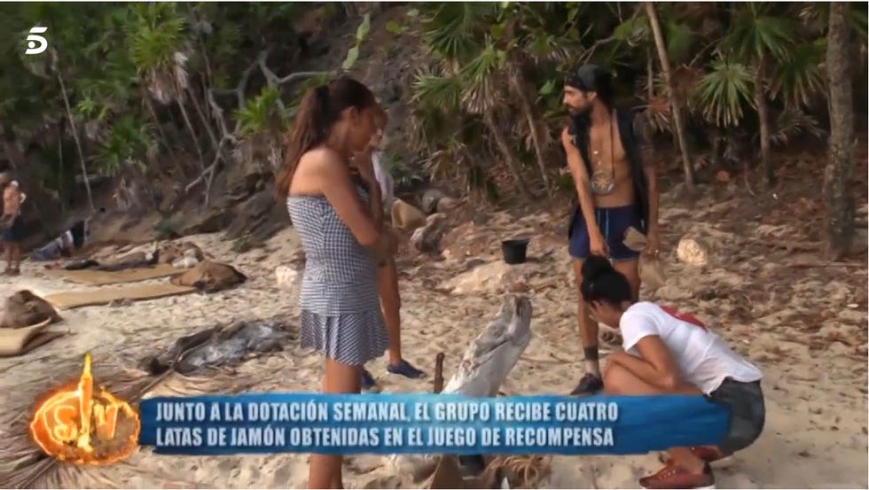 Albert, Dakota, Fabio, Mónica Hoyos, Supervivientes, SV, Fabio líder supervivientes, Mónica Hoyos nominada supervivientes, Nominados supervivientes