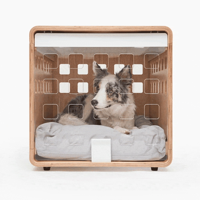 I Tried the Fable Pets Crate and It's a Dog-Parent Upgrade for My Tiny  Apartment