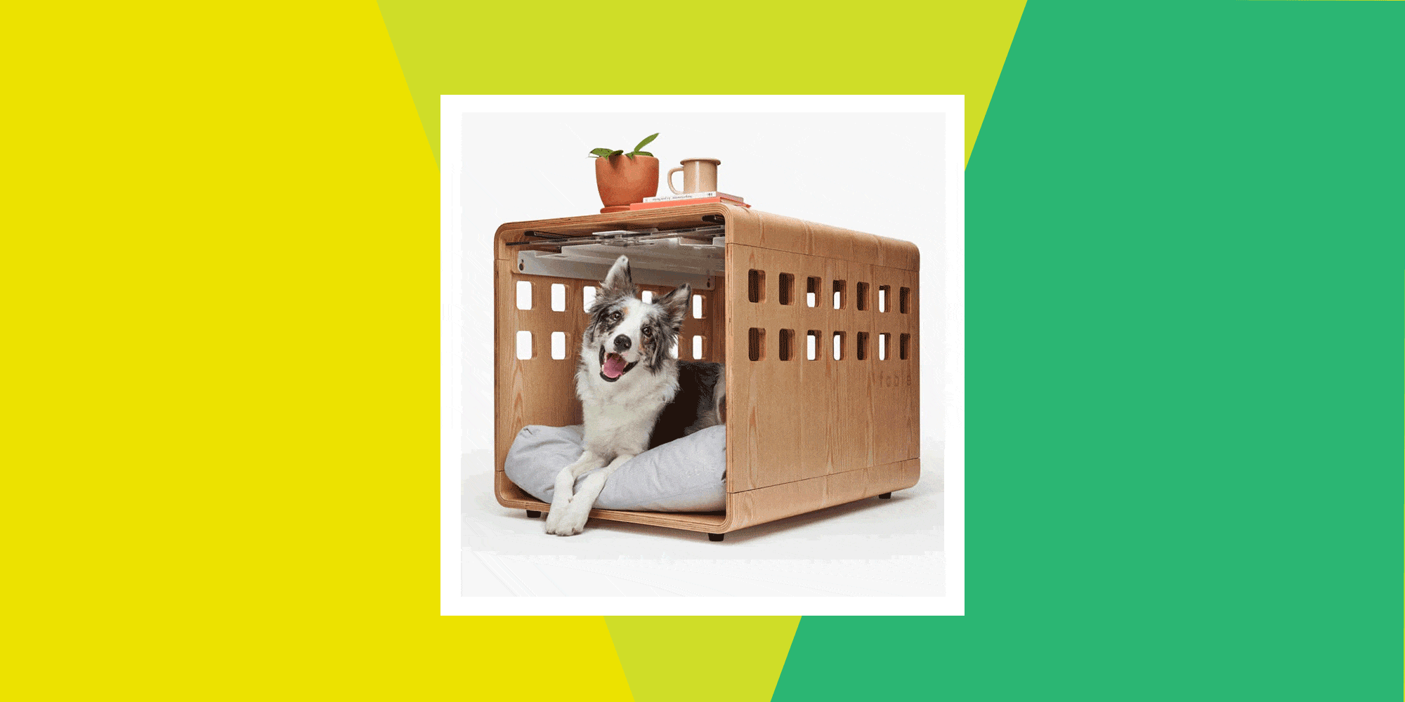 https://hips.hearstapps.com/hmg-prod/images/fable-pet-crate-1639080083.gif