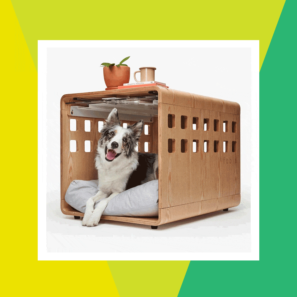 dog sitting in fable pet crate with plant and mug on top