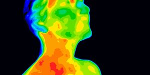 Face Thermograpy Carotid