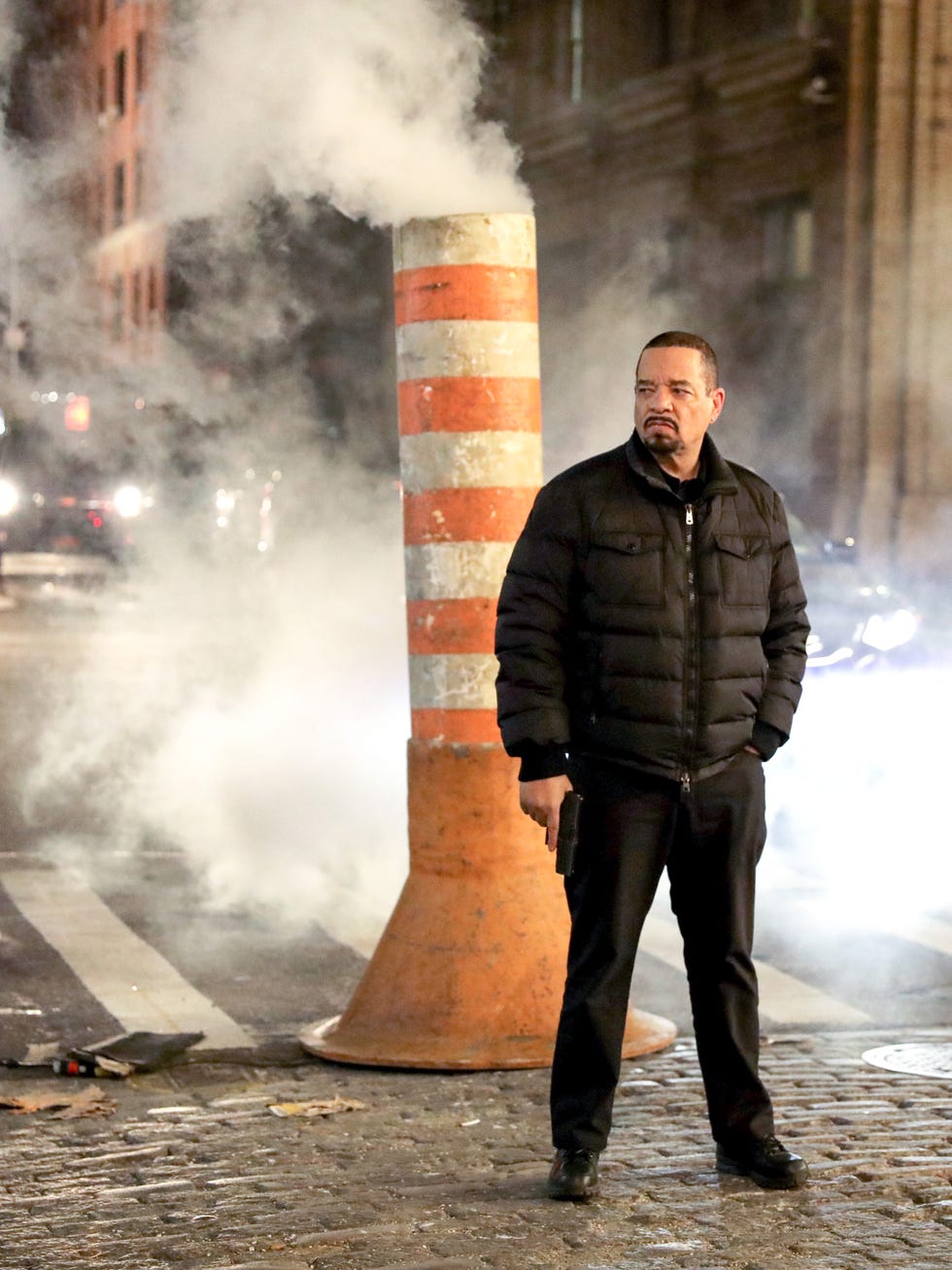 facts about law and order svu you never knew