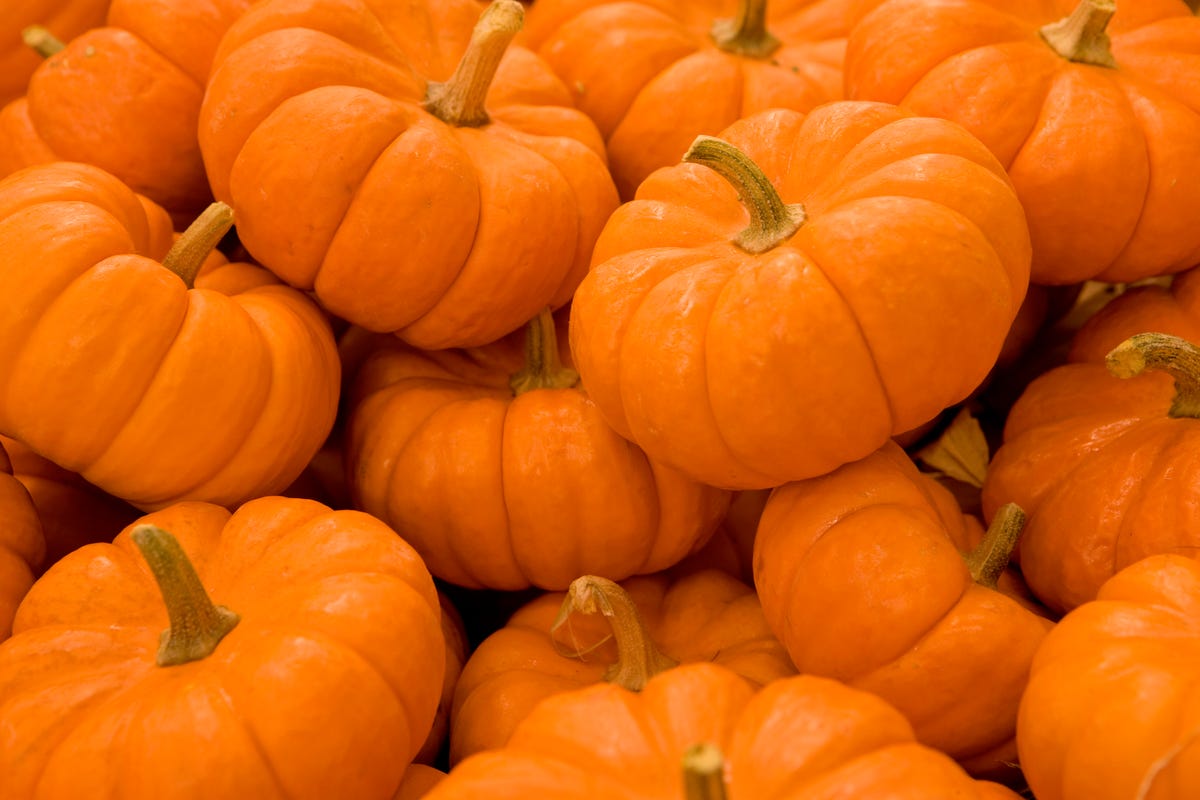 9 Fun Fall Gourd and Pumpkin Facts