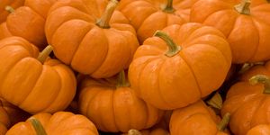 facts about pumpkins, pumpkin facts