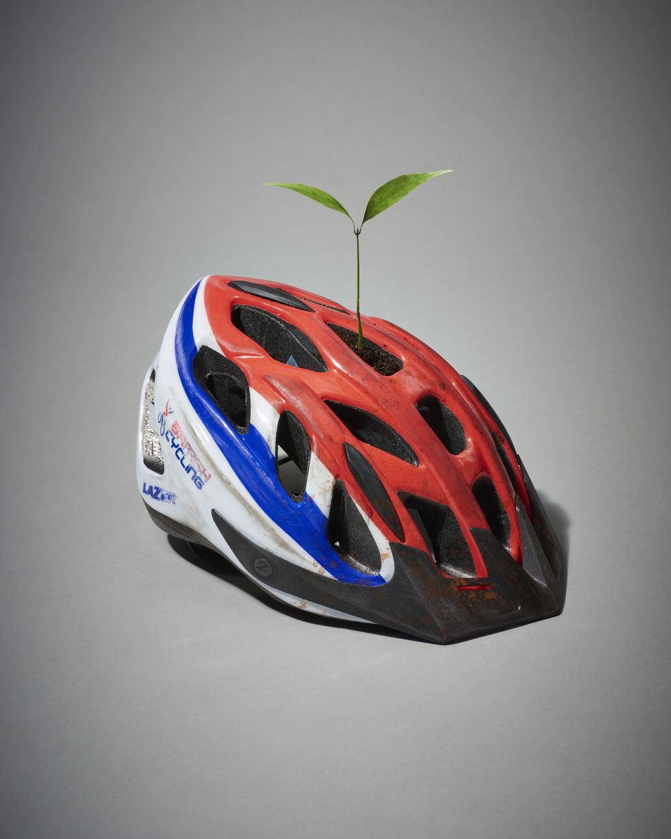 'accept weakness and you may just sprout some winning ideas'a red and blue bicycle helmet, with a plant growing from the top
