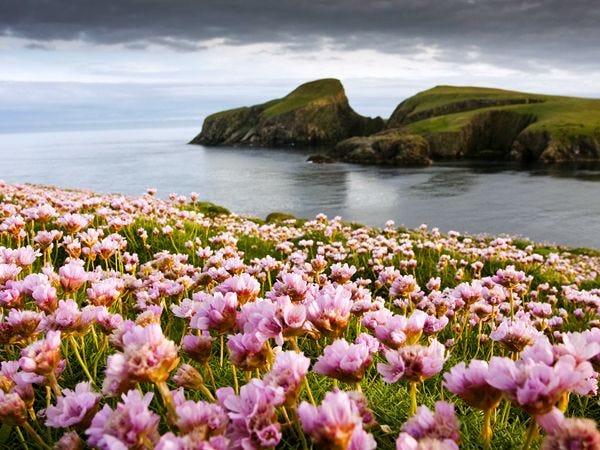 De kust van Fair Isle in Schotland