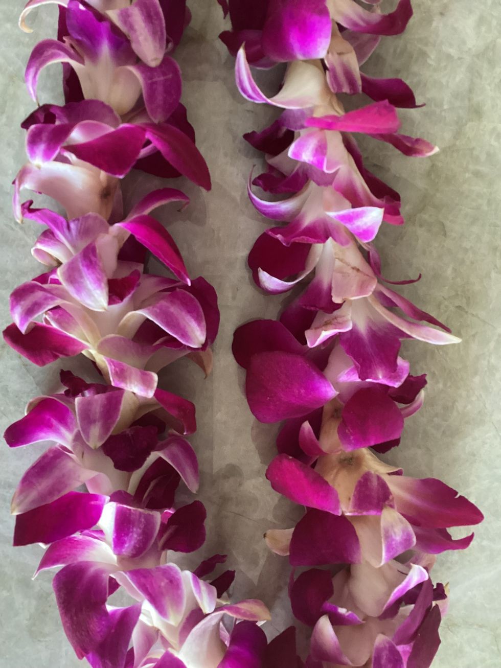 lei made of pink orchids