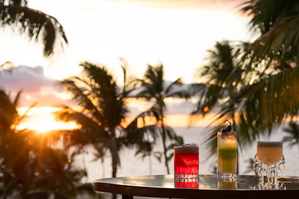 trio of elegant cocktails at pilina with a view of palm trees and the sun setting over the ocean