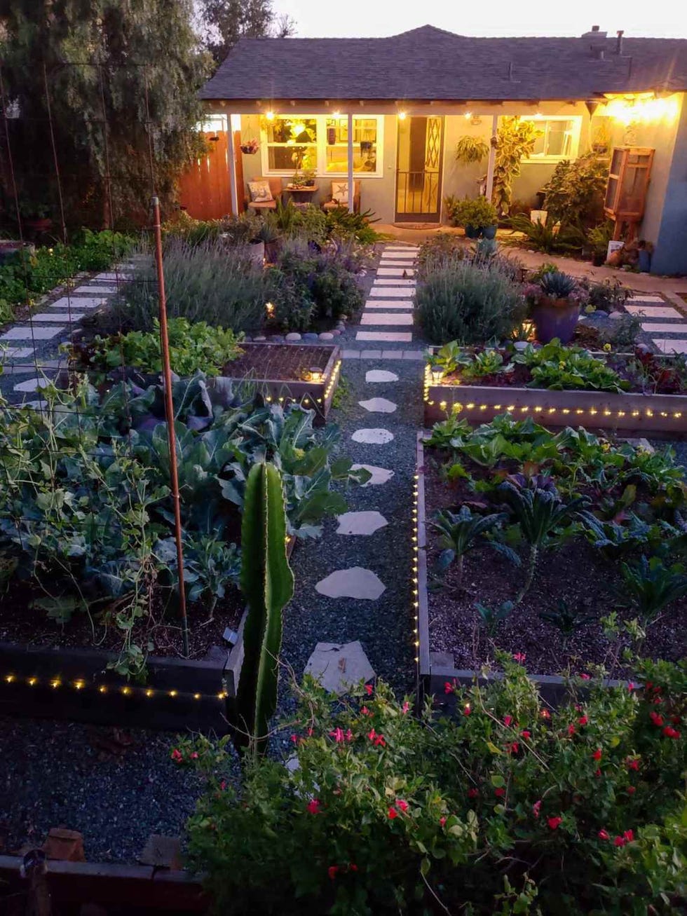 Unique Raised Garden Bed Ideas - A Blissful Nest