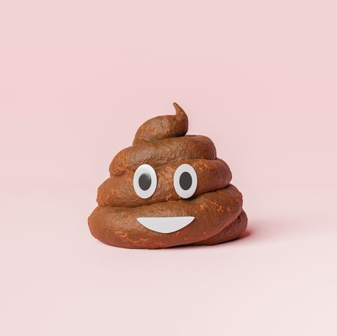 fake poop pile with emoji face