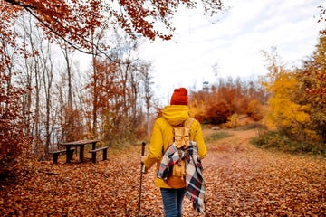 young woman carrying a backpack while hiking through the forest, enjoying beautiful autumn day outdoors