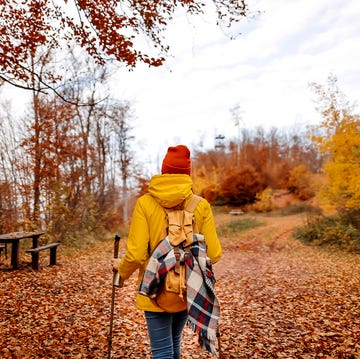fall activities — young woman carrying a backpack while hiking through the forest, enjoying beautiful autumn day outdoors young woman carrying a backpack while hiking through the forest, enjoying beautiful autumn day outdoors